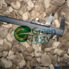 New Crop IQF Fresh Baby Oyster Mushroom